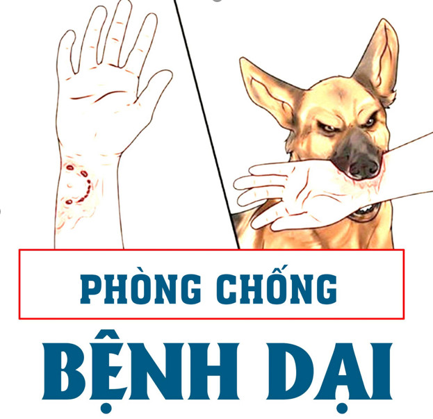 Kế hoạch phòng, chống bệnh Dại trên địa bàn tỉnh Đắk Lắk năm 2024.